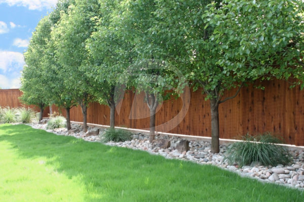 Stained wood community fence lined with trees and stoned pathway