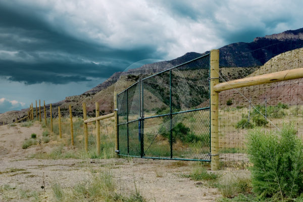 Agricultural Deer fencing with yellow metal poles and black chain link gate access