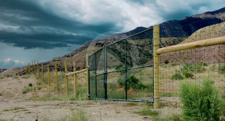 Agricultural Deer fencing with yellow metal poles and black chain link gate access