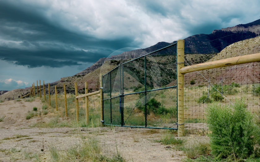 Agricultural Deer fencing with yellow metal poles and black chain link gate access
