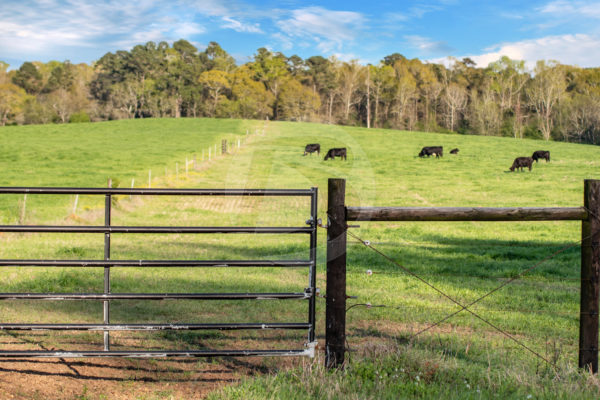 Ornamental farm gate with wood attached in a field