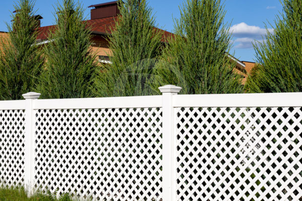 White Privacy lattice vinyl fence with vinyl posts and caps