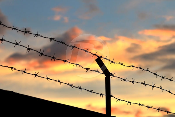 Barbwire against a sunset
