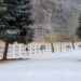 White 3-rail vinyl fence in the snow